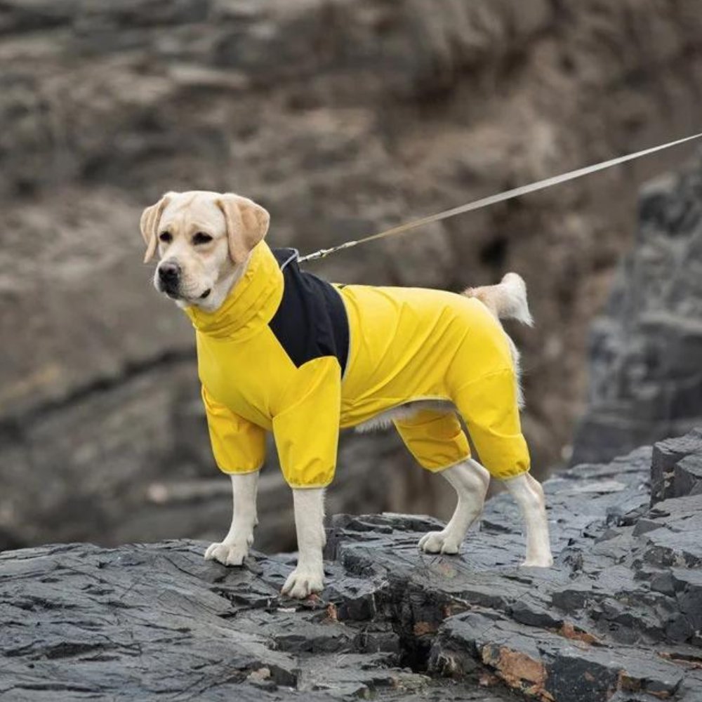 StormGuard wetterfester Regenmantel für Hunde mittlerer und großer Rassen