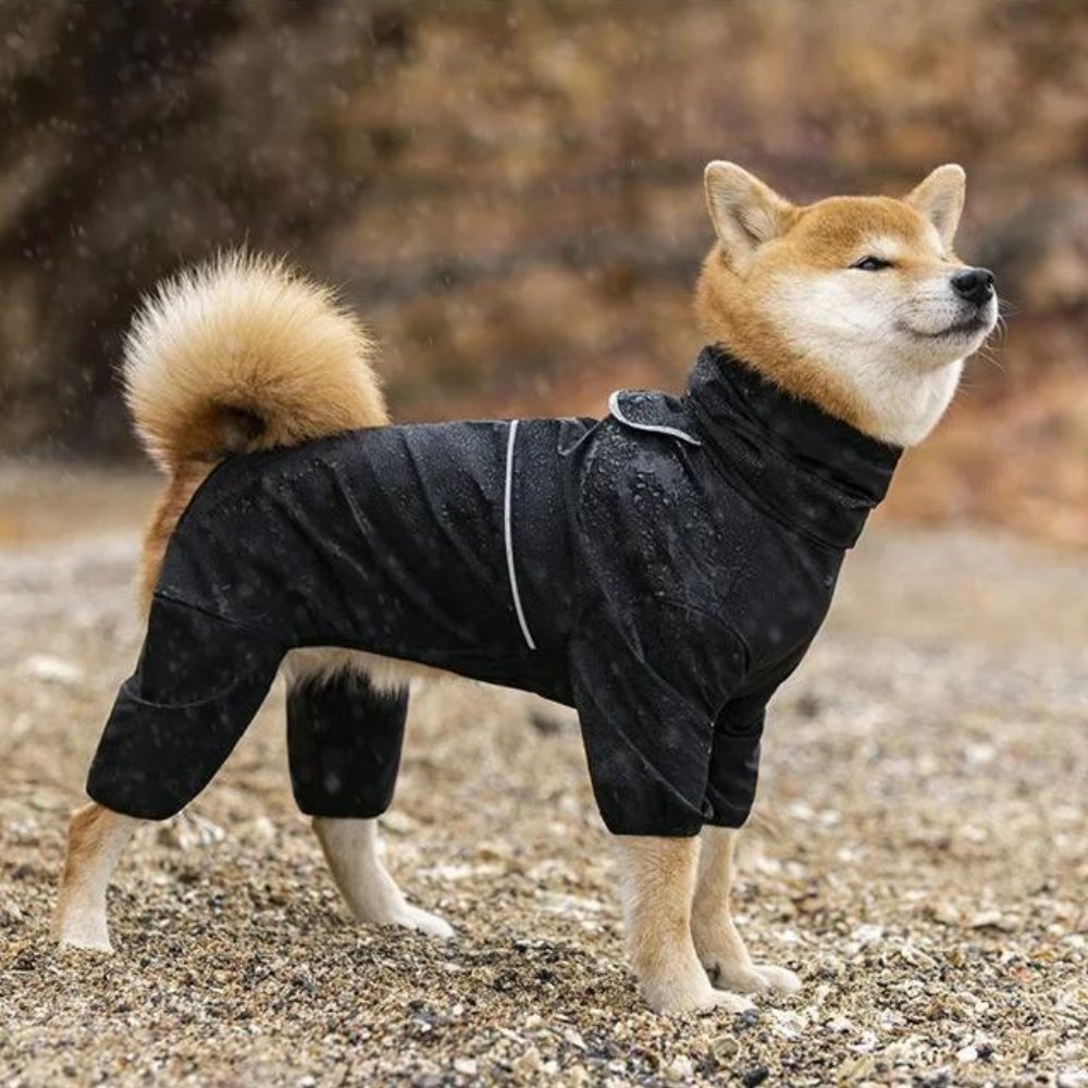 StormGuard wetterfester Regenmantel für Hunde mittlerer und großer Rassen