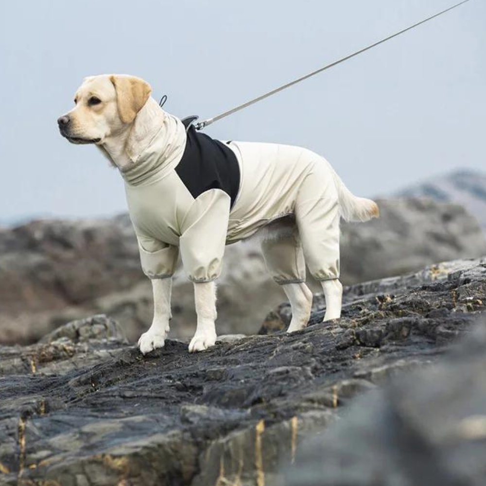 StormGuard wetterfester Regenmantel für Hunde mittlerer und großer Rassen