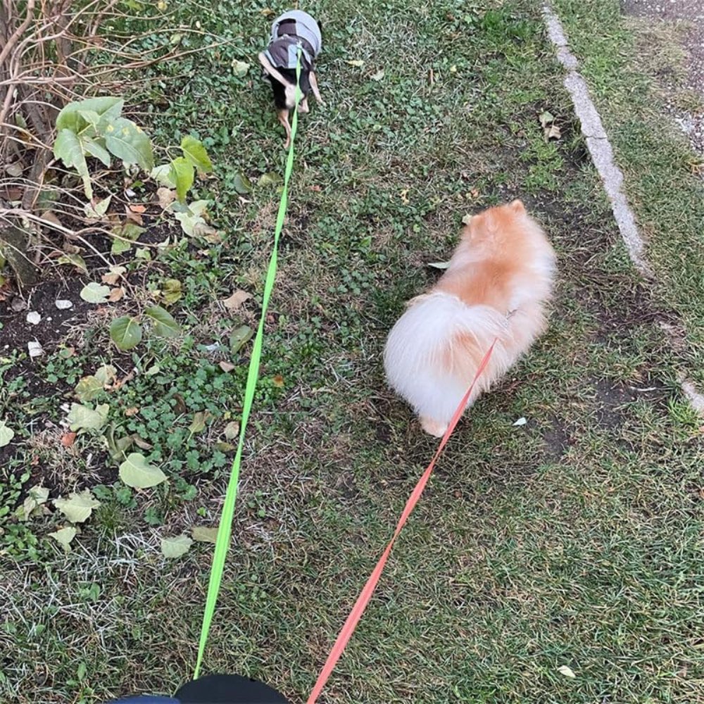 TangleFree • Dual Dog Leash - Dog Leash
