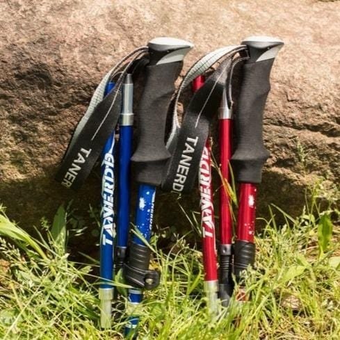 Kije trekkingowe teleskopowe TrailMaster do wędrówek po każdym terenie