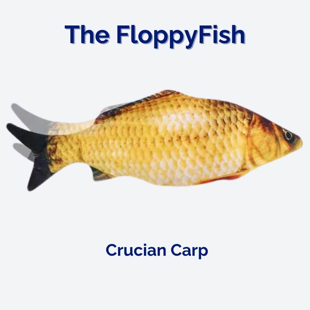 FloppyFish interaktives Spielzeug für Hunde und Welpen zu Hause oder unterwegs