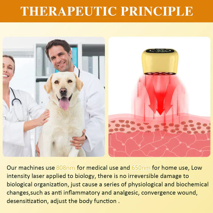 Handheld Portable Cold Laser Light For At-Home Pet Care