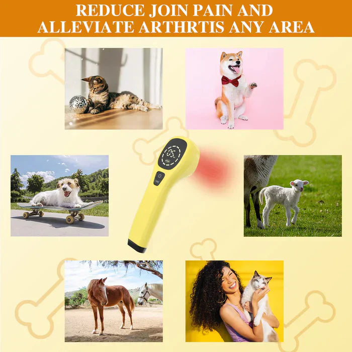 Handheld Portable Cold Laser Light For At-Home Pet Care