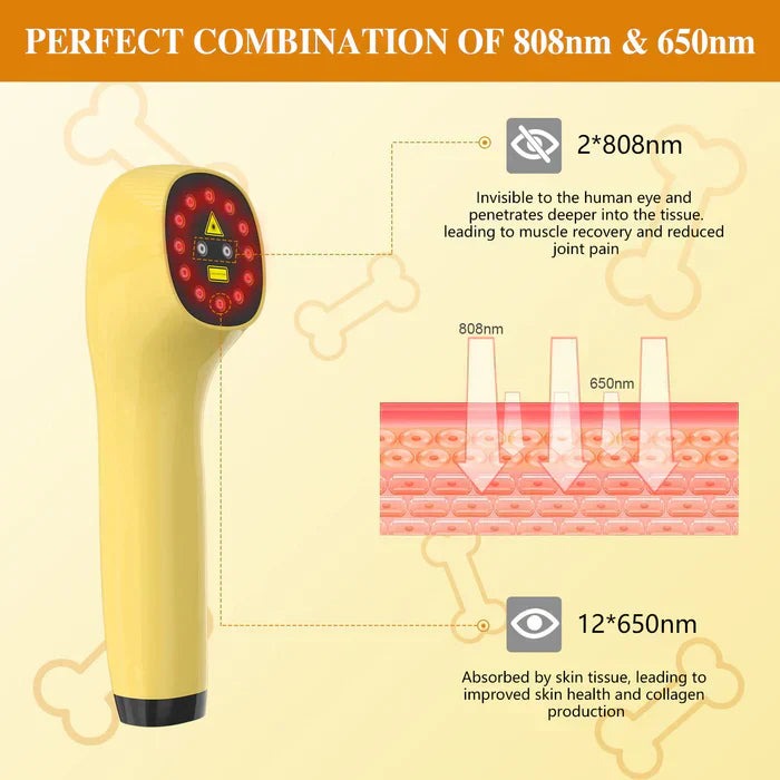 Handheld Portable Cold Laser Light For At-Home Pet Care