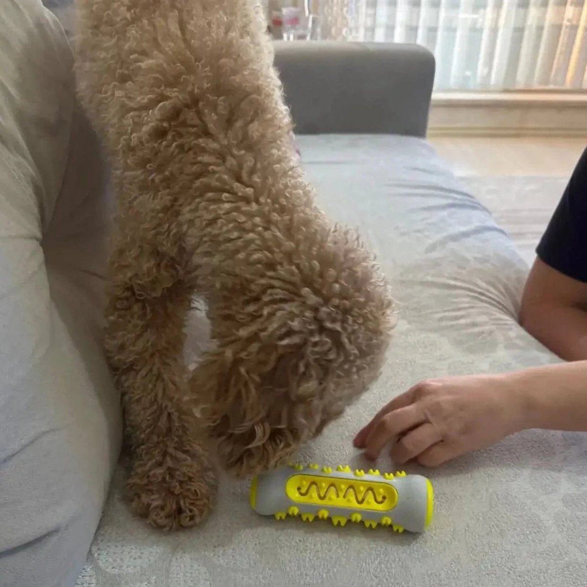Giocattolo per cani ZenPaw lenitivo alla lavanda e camomilla con polimero